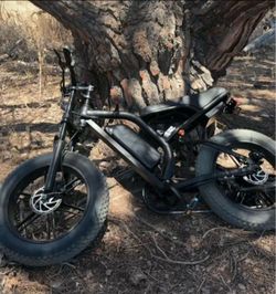 Electric E BIKE