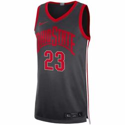Nike LeBron James Ohio State Jersey