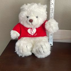 New 12” Paul, Sebastian Stuffed White Teddy Bear