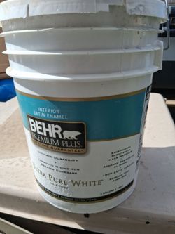 Paint pintura