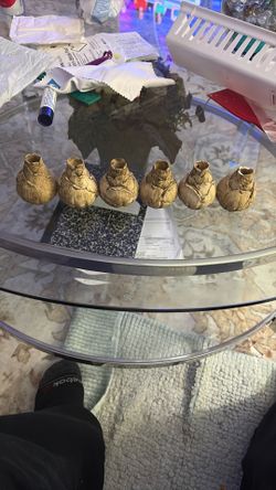 6 Flowers Holders 