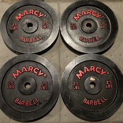 Set Of 4 25lb Standard Weight Plates 