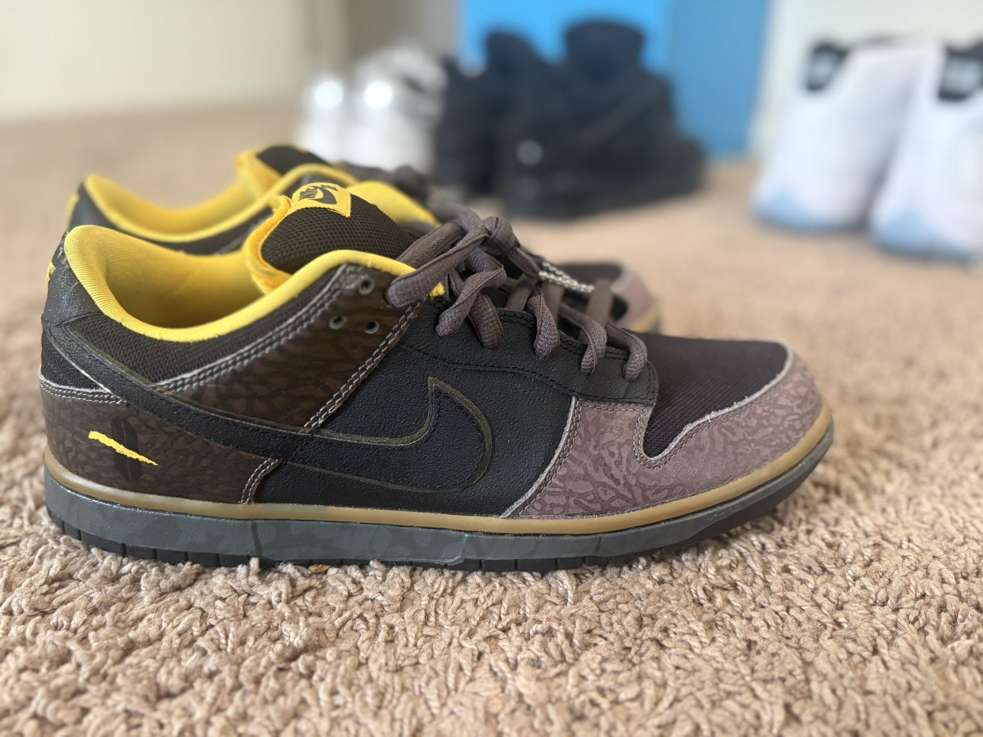 Nike Sb