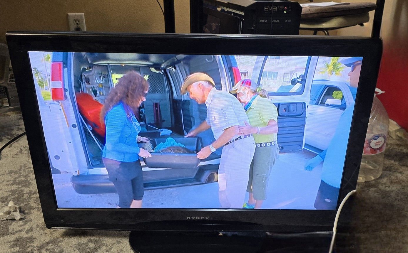 TV Dynex 32 in
