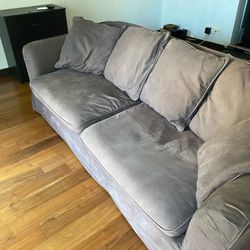 Chocolate Coaster Furniture Couch