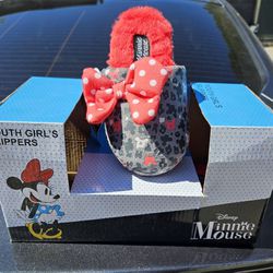 Brand New Minnie Slippers AND used Woman's Converse 