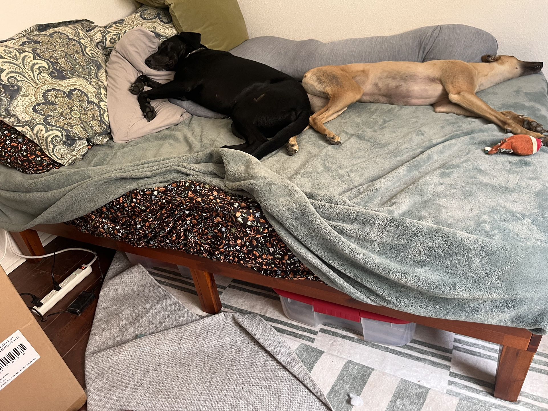 Wood Bed frame Full