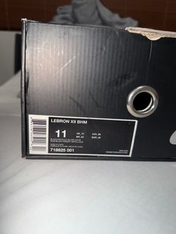LEBRON XII BHM