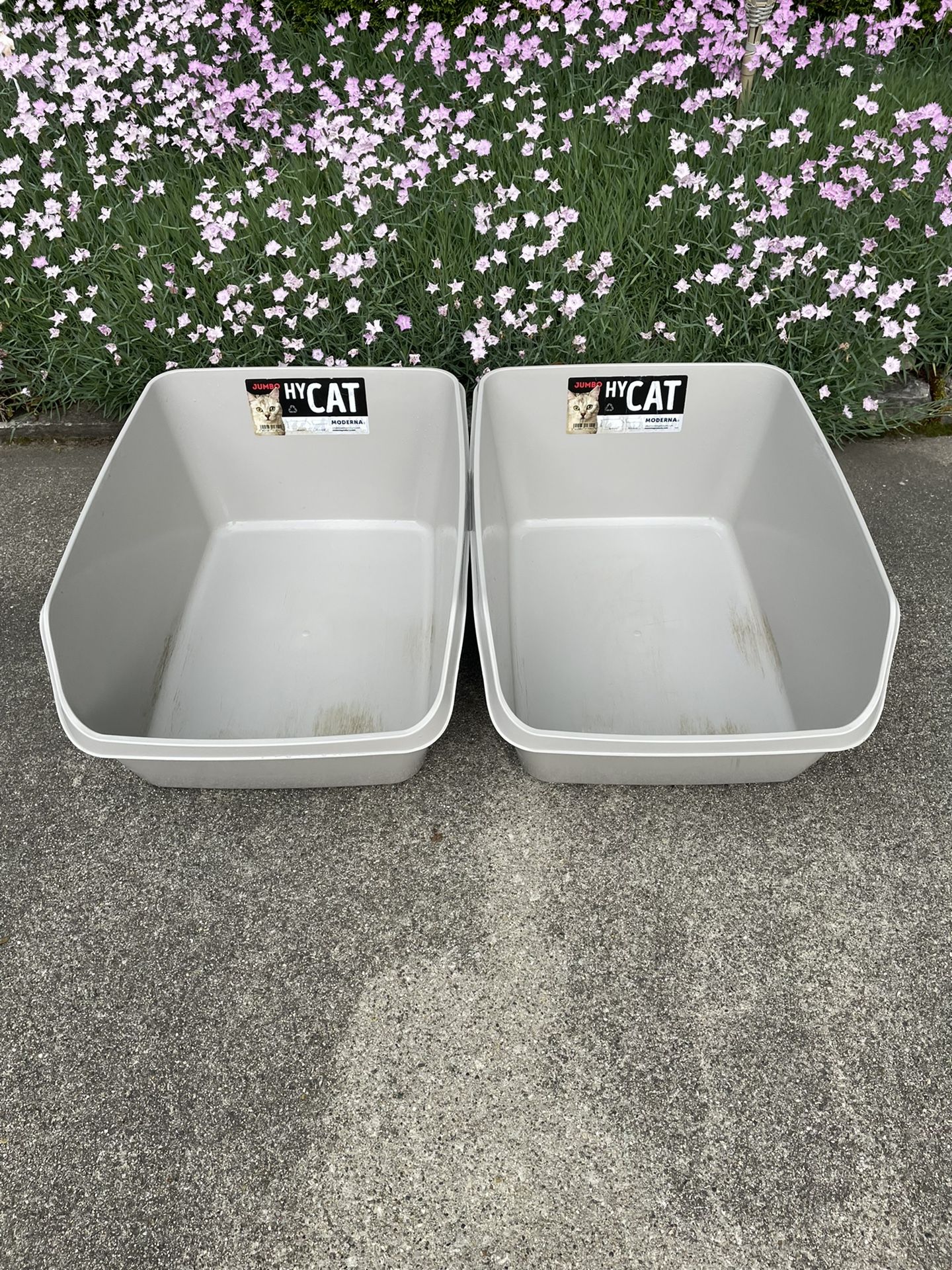 1 Cat Litter Tray With High Sides