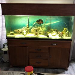 125 Gallon Aquarium w/cabinet & Fish 
