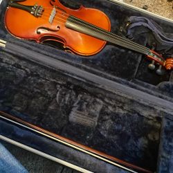 violin