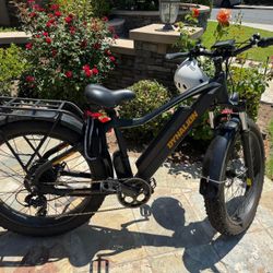 E Bike
