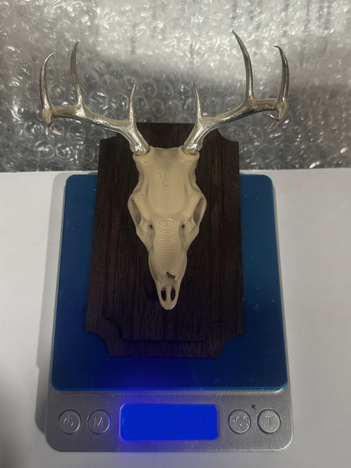 EURO MOUNTED WHIAIL DEER WITH .999 SILVER