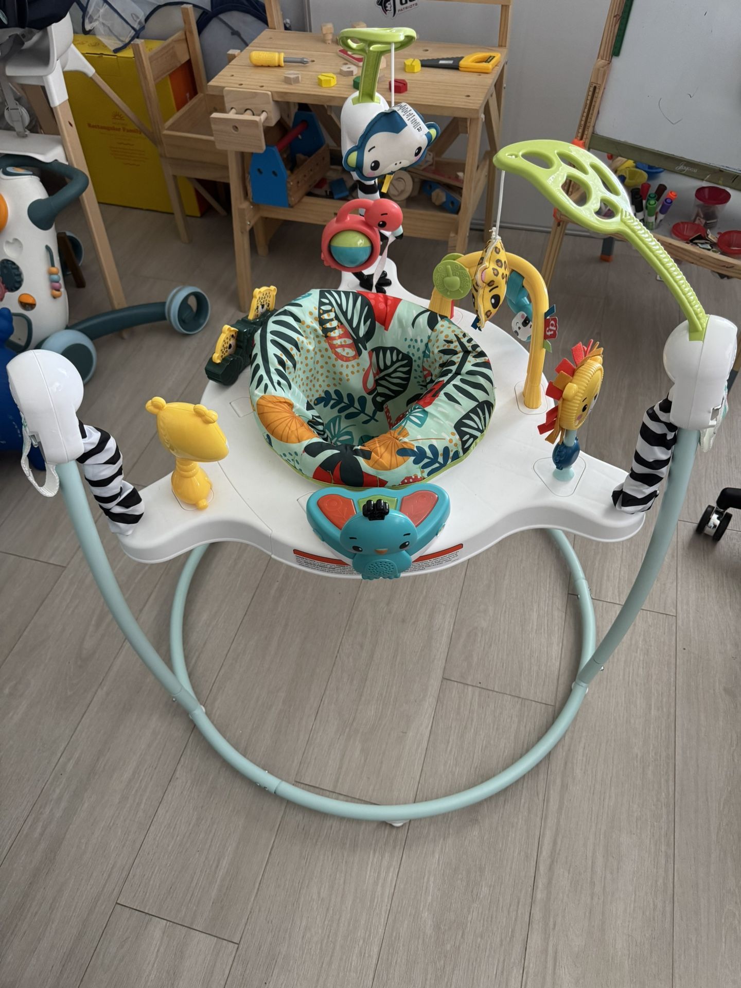 Fisher Price Jumper Bouncer Activity Center