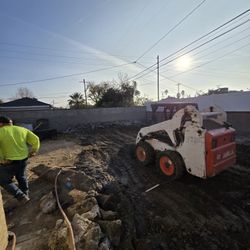 Bobcat Grading 