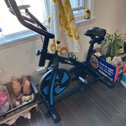 Indoor Bike