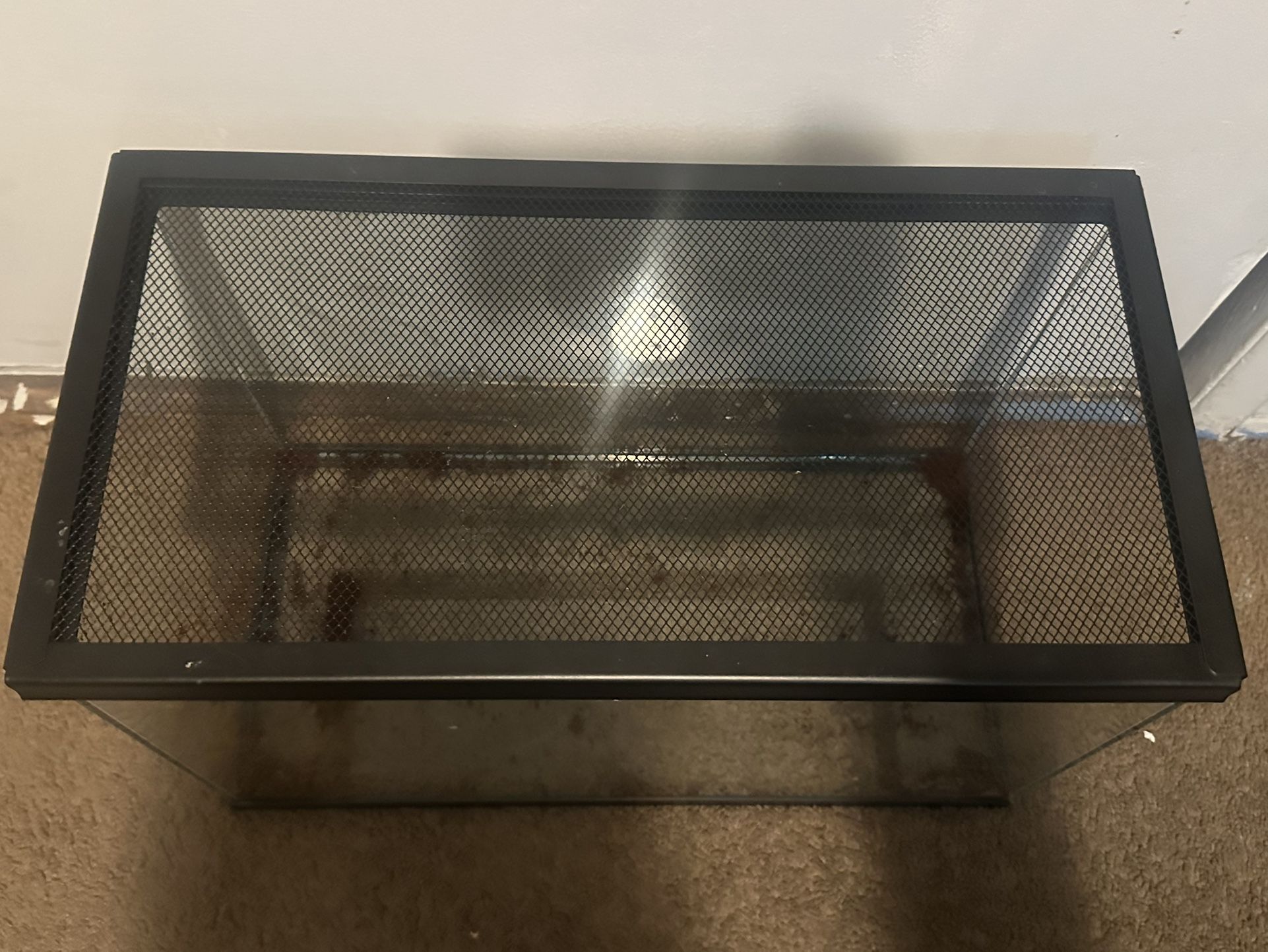 10 Gallon Tank