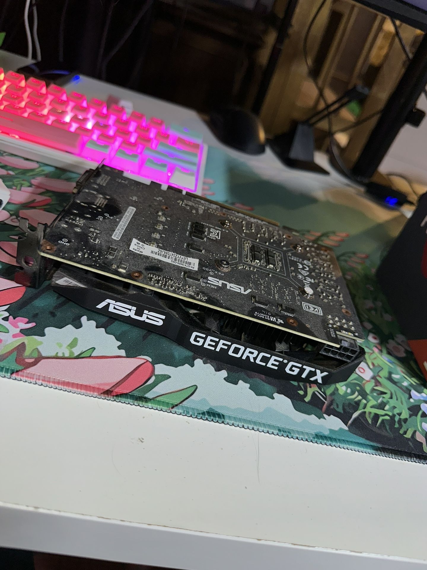 Graphics Card / CPU