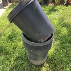 Botes Para Plantas 