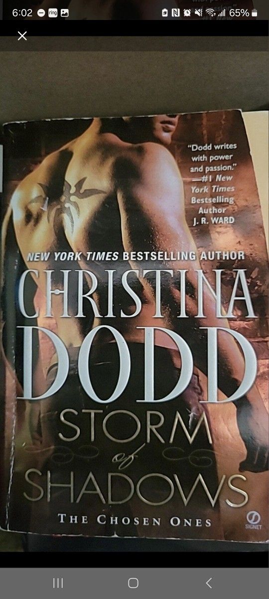 Storm Of Shadows