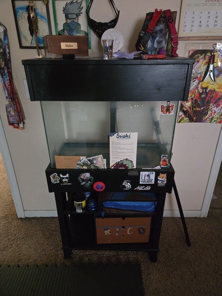 30 Gallon Fish Tank
