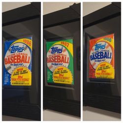 Junk Wax Framed - helps Animal Shelters!