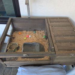 Turtle Enclosure with accessories