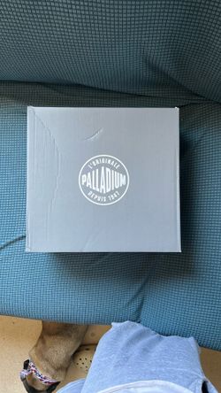 Brand New Palladium Shoes. 