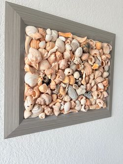 Framed Galveston Real Seashell Shadow Box Wall Art