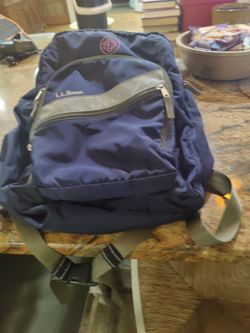 Ll bean back pack