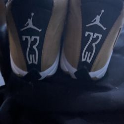 Jordan 14