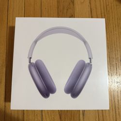 Apple AirPods Maxes - Purple