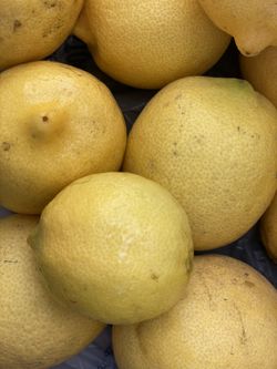 10 Qt Bucket Of Organic Lemons 🍋