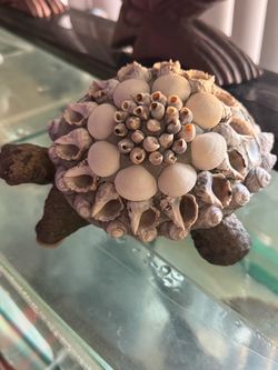 Concrete sculpture Tortoise/turtle With Seashells