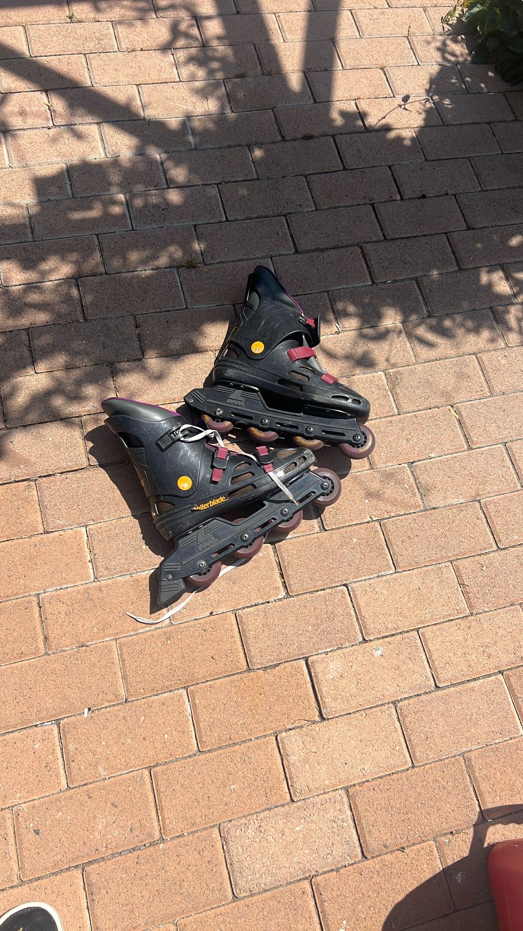 Roller Skaters