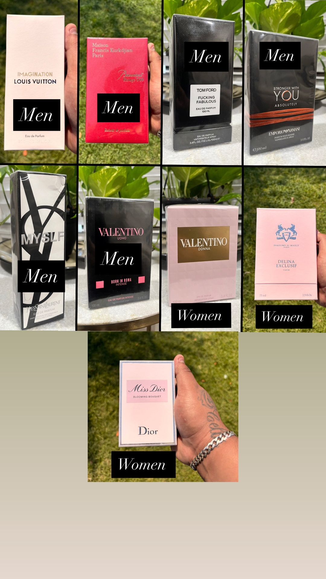 Colognes & Perfumes