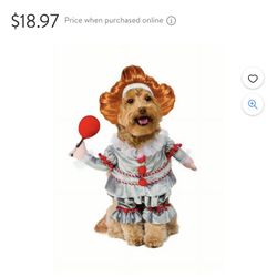 Pet Costume 