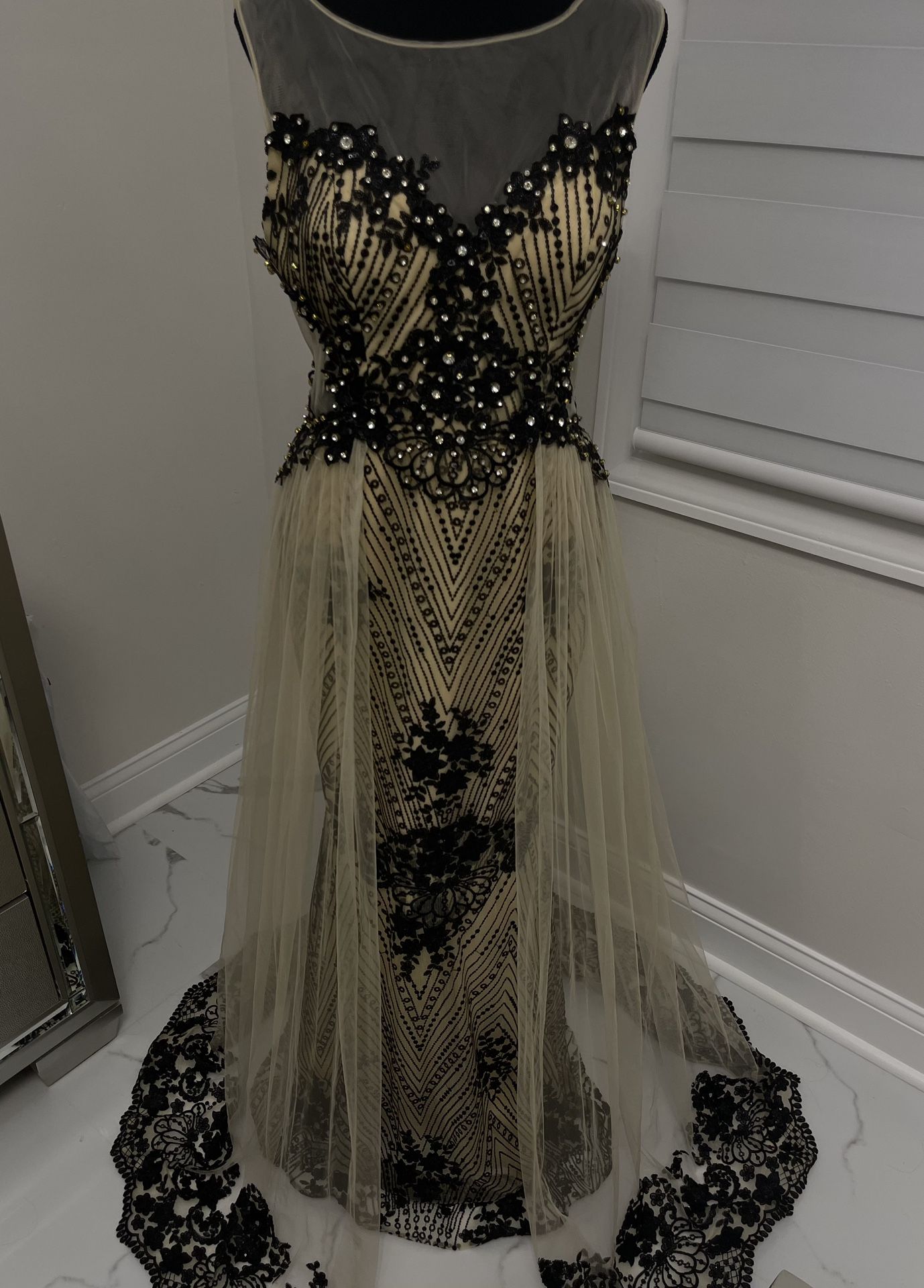 Elegant Laced dress!