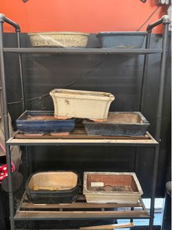 Bonsai Pots $5