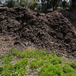 Mulch 