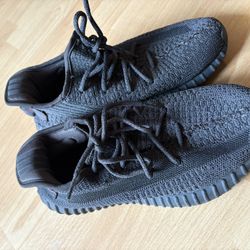 Adidas Yeezy Boost 350 V2