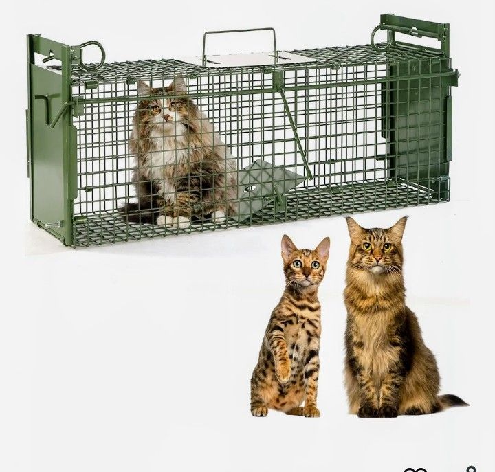 Trap For Cats And Raccoons