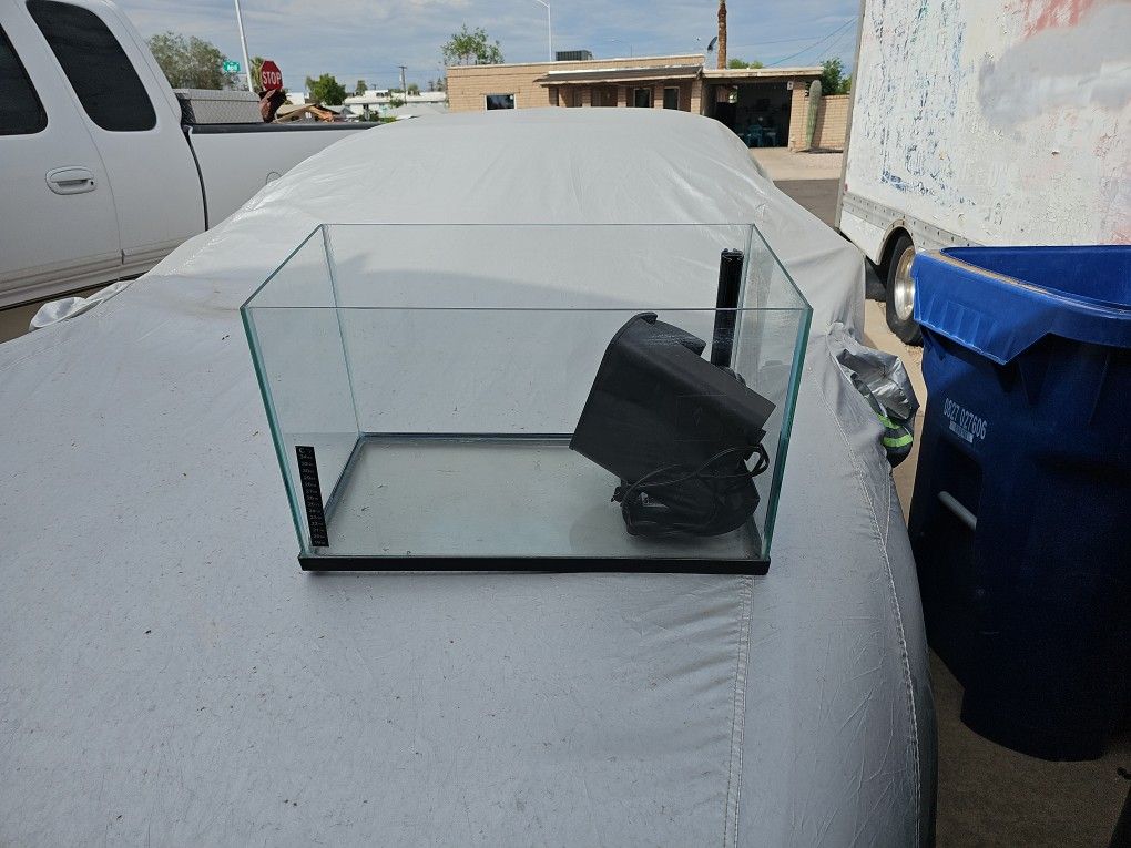 Fish Tank Free