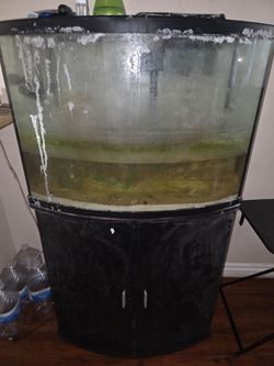 Saltwater fish tank