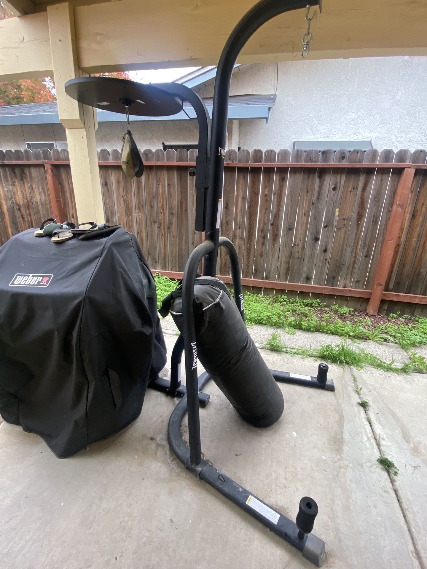 Boxing Punching Bag And Speed Bag