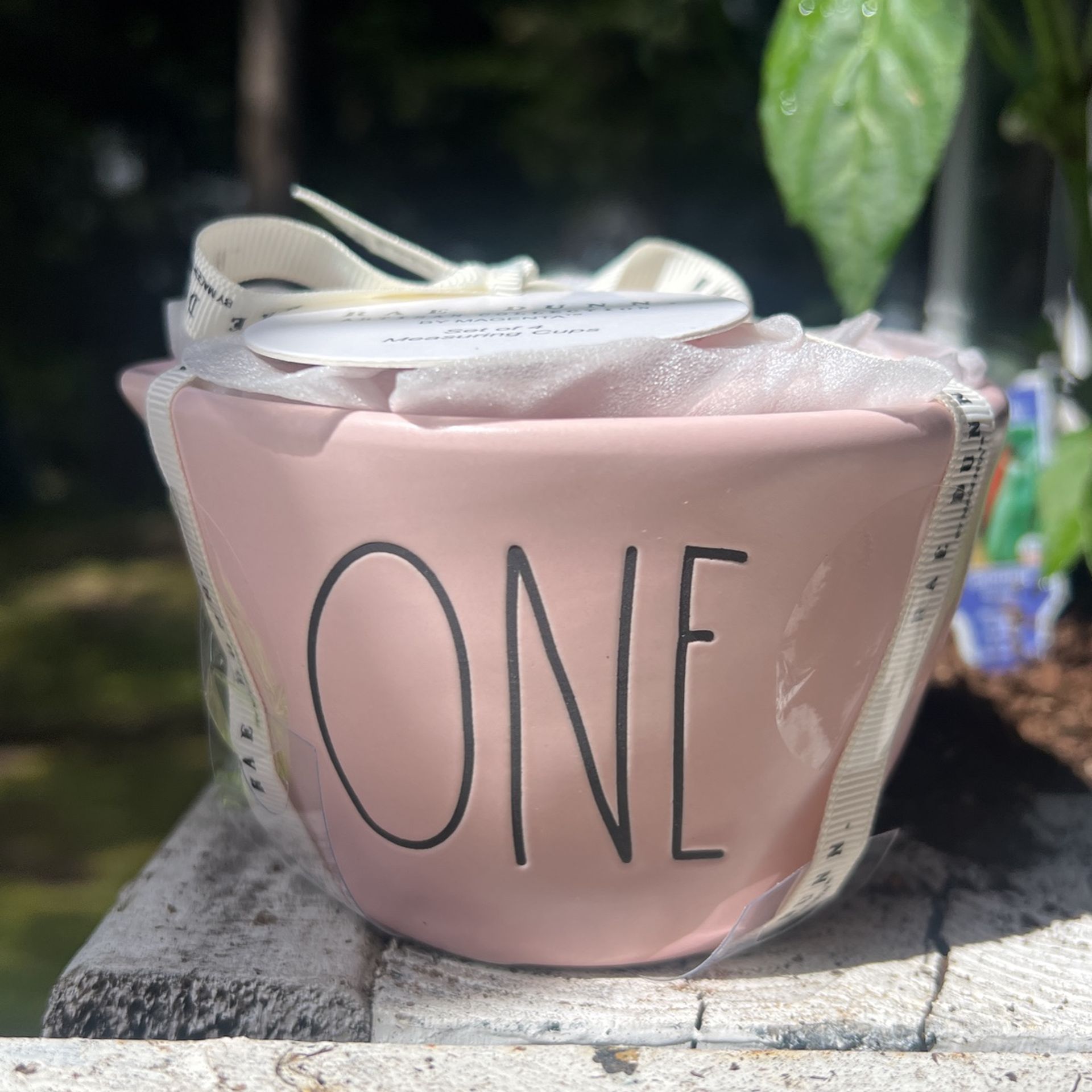 Rae Dunn Pink Measuring Cup