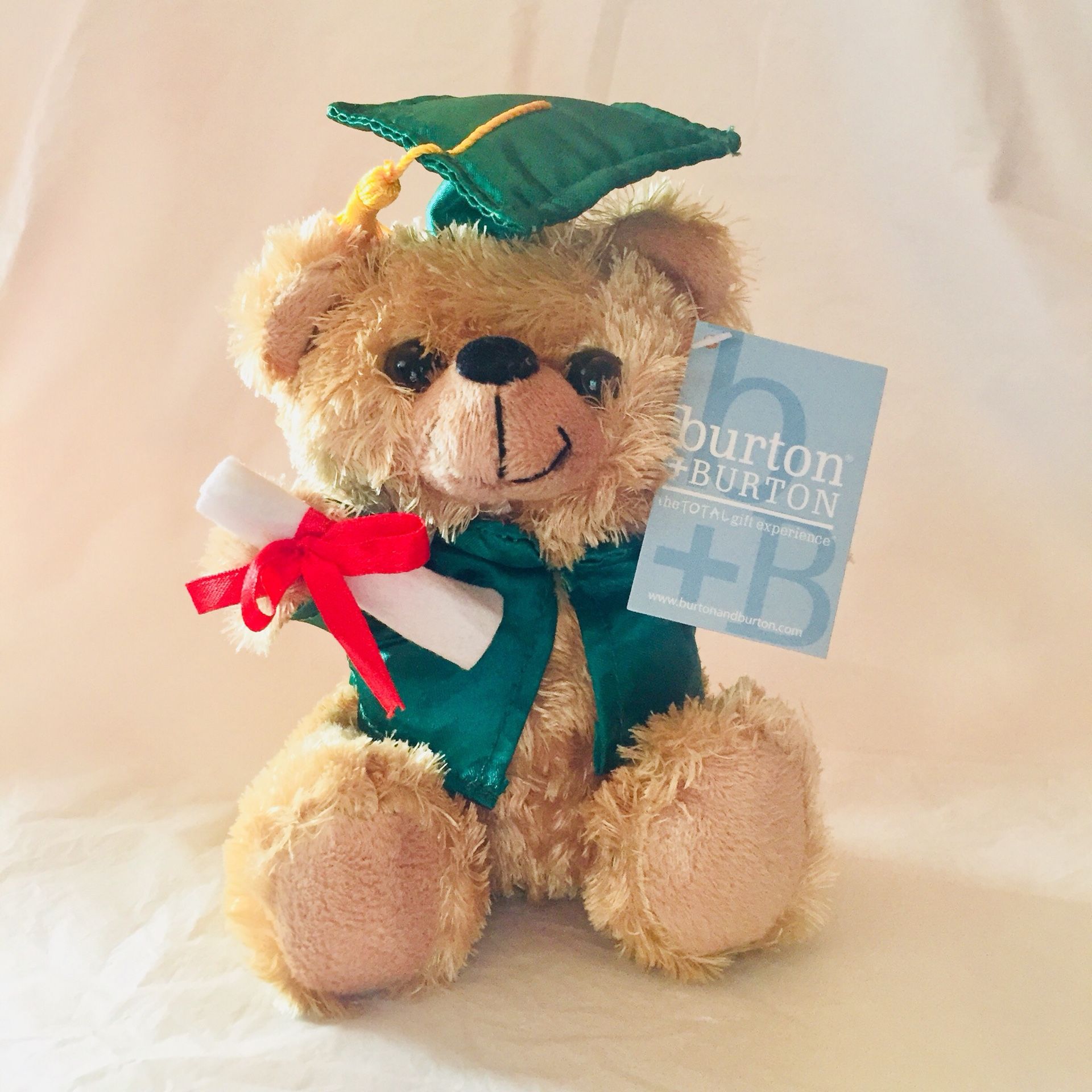 Graduation Plush Bear (Green)