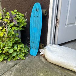 Pennyboard Skateboard 