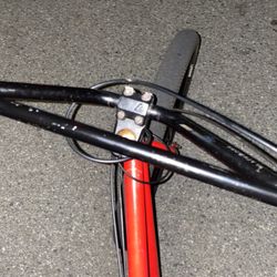 hoagie bomma i will strip it for you if you have a good offering