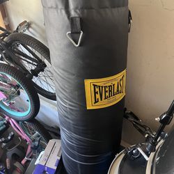 Everlast Boxing Bag